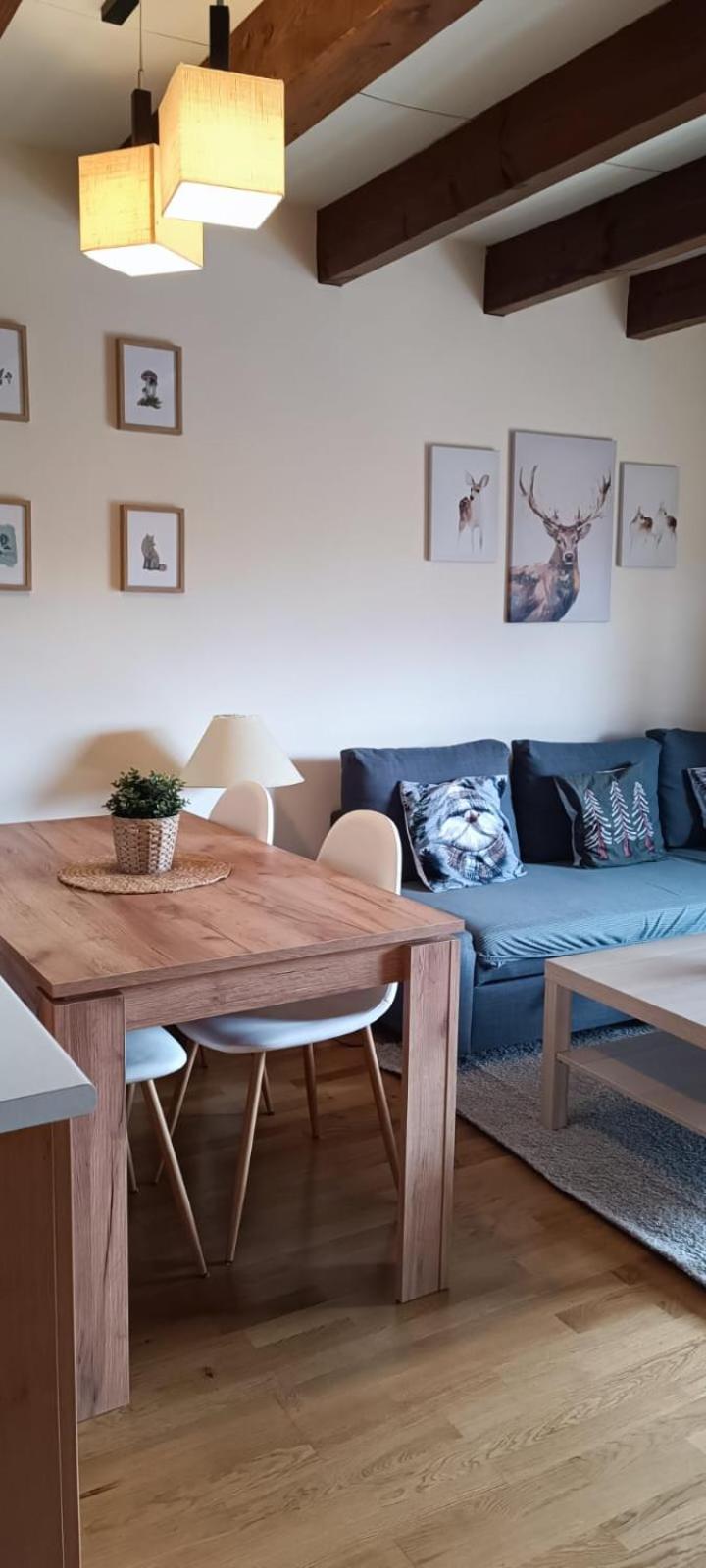 Apartament Duplex Familiar Izarraitz Villanúa Zewnętrze zdjęcie